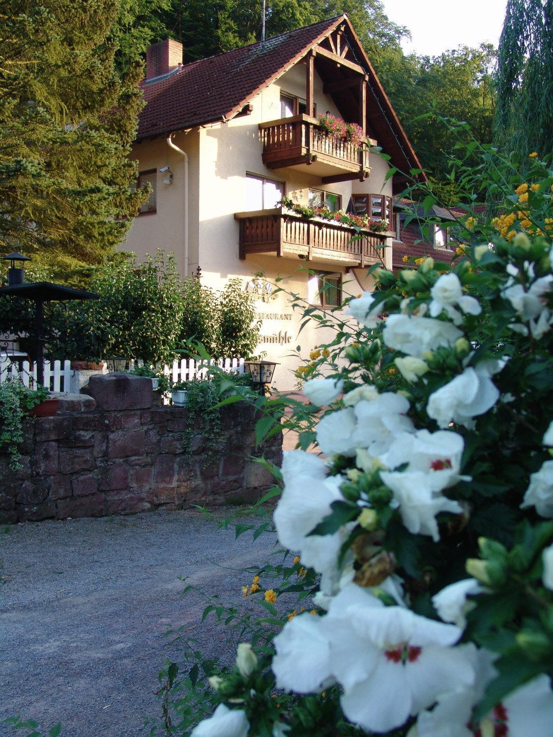 Hotel Restaurant Paradeismuehle Клингенберг-ам-Майн Экстерьер фото